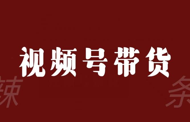 视频号带货联盟，赚信息差的带货钱，只需手机随时随地都可以做！-轻创网