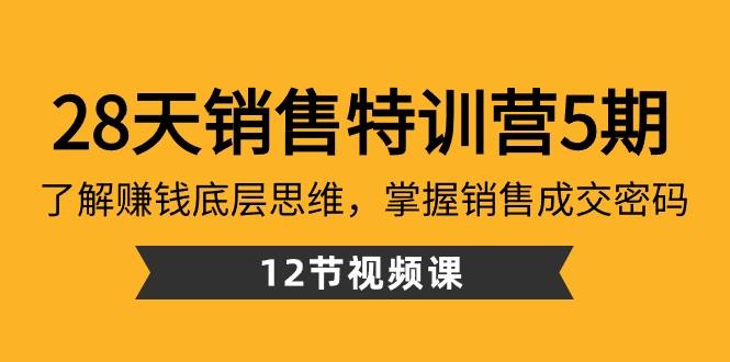 28天销售特训营5期：了解赚钱底层思维，掌握销售成交密码（12节课）-轻创网