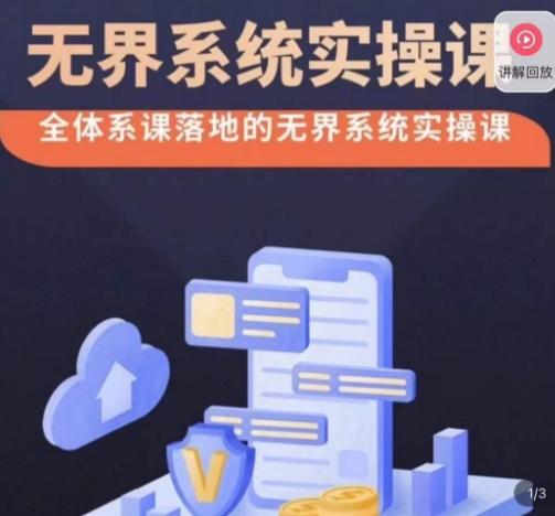老衲·无界系统实操课，全体系落地无界改版后选择、出价、高投产做付费引流-轻创网