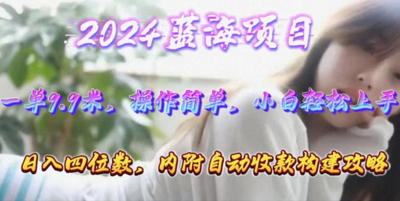年轻群体的蓝海市场，1单9.9元，操作简单，小白轻松上手，日入四位数-轻创网