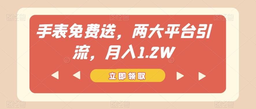 手表免费送，两大平台引流，月入1.2W【揭秘】-轻创网