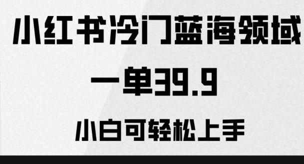 小红书冷门蓝海领域，一单39.9，小白可轻松上手-轻创网
