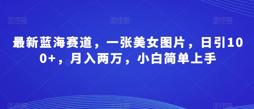 最新蓝海赛道，一张美女图片，日引100+，月入两万，小白简单上手-轻创网