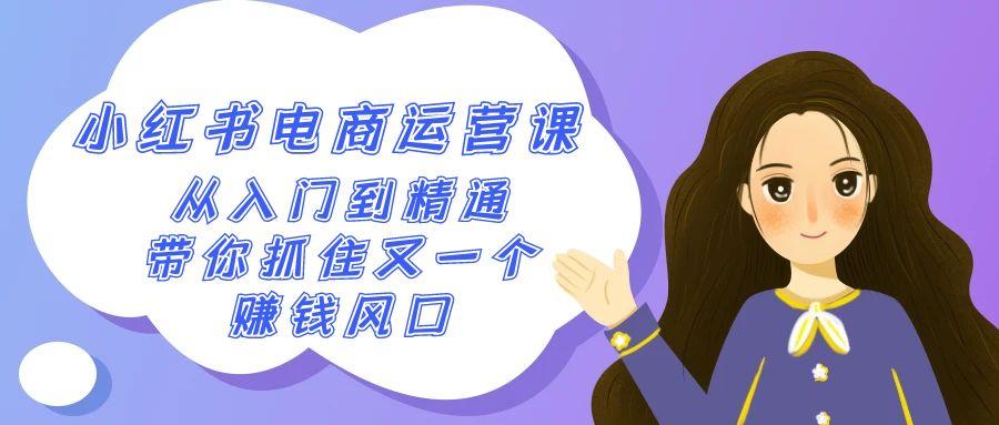 2024小红书电商运营课，从入门到精通，带你抓住又一个赚钱风口(50节课)-轻创网
