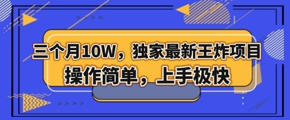 三个月10W，独家最新王炸项目！操作简单，上手极快【揭秘】-轻创网