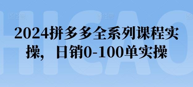 2024拼多多全系列课程实操，日销0-100单实操【必看】-轻创网