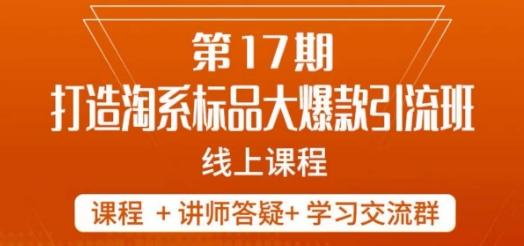 南掌柜-第17期打造淘系标品大爆款，5天线上课-轻创网