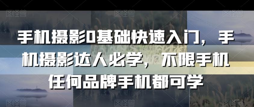 手机摄影0基础快速入门，手机摄影达人必学，不限手机任何品牌手机都可学-轻创网