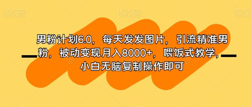 男粉计划6.0，每天发发图片，引流精准男粉，被动变现月入8000+，喂饭式教学，小白无脑复制操作即可-轻创网