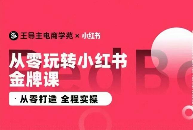 王导主·小红书电商运营实操课，​从零打造  全程实操-轻创网