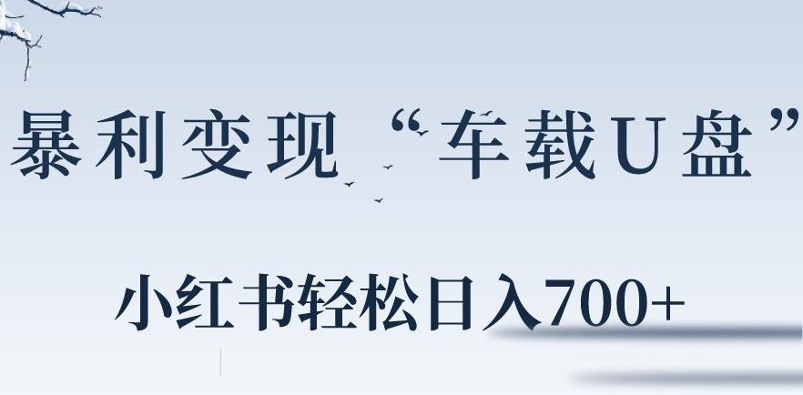 小红书“车载U盘”暴利引流，日入700+-轻创网