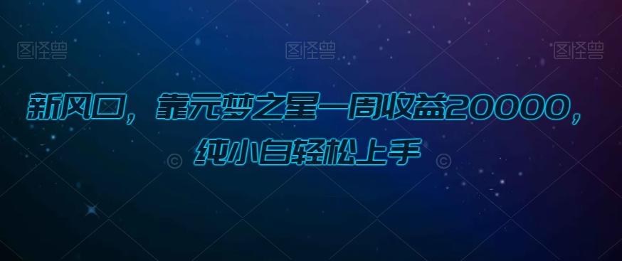 新风口，靠元梦之星一周收益20000，纯小白轻松上手-轻创网