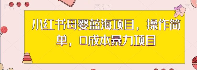 小红书母婴蓝海项目，操作简单，0成本暴力项目-轻创网