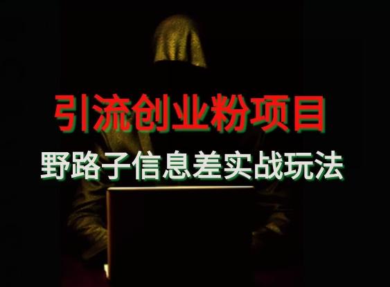 【引流创业粉】野路子信息差玩法实战教学-轻创网