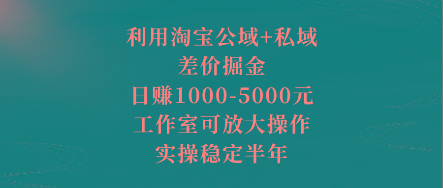 利用淘宝公域+私域差价掘金，日赚1000-5000元，工作室可放大操作，实操…-轻创网