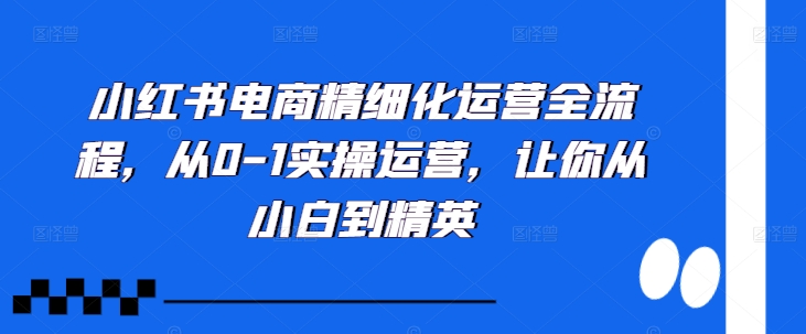 小红书电商精细化运营全流程，从0-1实操运营，让你从小白到精英-轻创网
