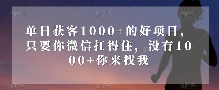 单日获客1000+的好项目，只要你微信扛得住，没有1000+你来找我【揭秘】-轻创网