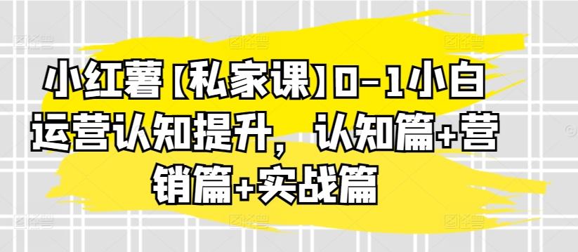 小红薯【私家课】0-1小白运营认知提升，认知篇+营销篇+实战篇-轻创网