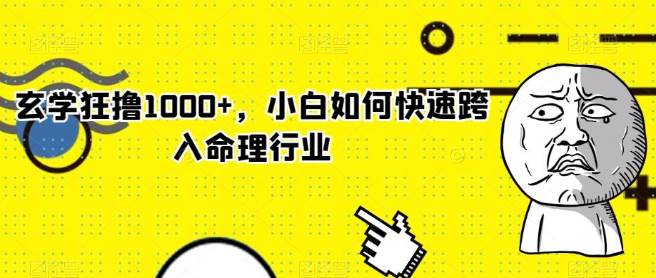 玄学狂撸1000+，小白如何快速跨入命理行业-轻创网