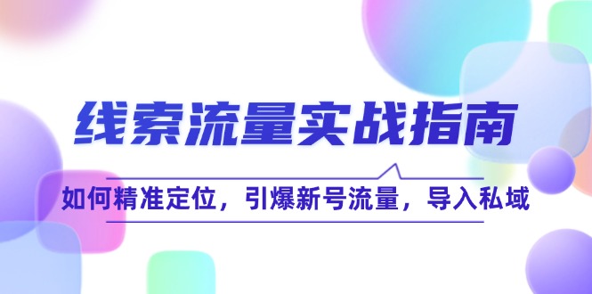 线 索 流 量-实战指南：如何精准定位，引爆新号流量，导入私域-轻创网