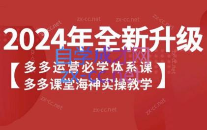 海神老师·拼多多运营必学体系课-轻创网