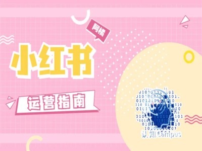 小红书运营指南，没有套路，全是经验-轻创网