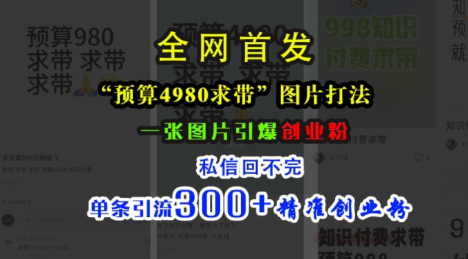 小红书“预算4980带我飞”图片打法，一张图片引爆创业粉，私信回不完，单条引流300+精准创业粉-轻创网