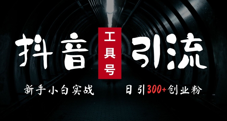 2024最新抖音工具号引流玩法，高效日引300+创业粉，当天变现5k，小白也可成为实战高手-轻创网