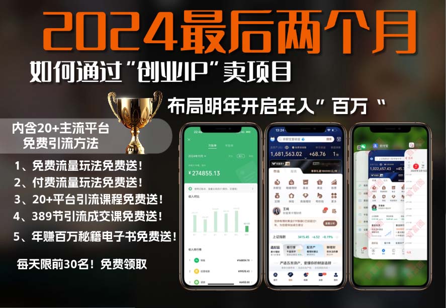 2024最后两个月如何通过”创业IP“卖项目年入”百万“,创业IP+最强引流…-轻创网