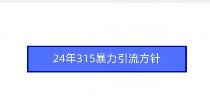 24年315暴力引流方针-轻创网