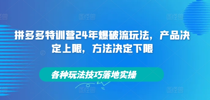 拼多多特训营24年爆破流玩法，产品决定上限，方法决定下限，各种玩法技巧落地实操-轻创网