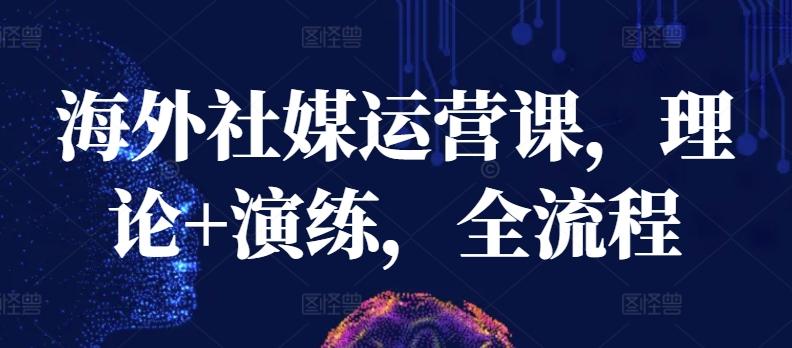 海外社媒运营课，理论+演练，全流程-轻创网