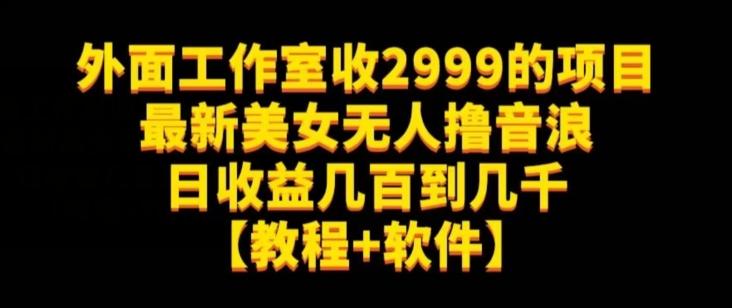 外面工作室收2999的项目最新美女无人撸音浪日收益几百到几千【教程+软件】（仅揭秘）-轻创网