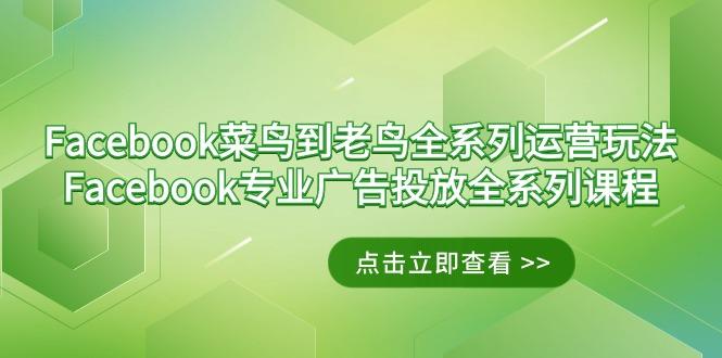Facebook-菜鸟到老鸟全系列运营玩法+Facebook-专业广告投放全系列课程-轻创网