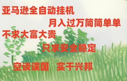 亚马逊全自动浏览挂机-轻创网
