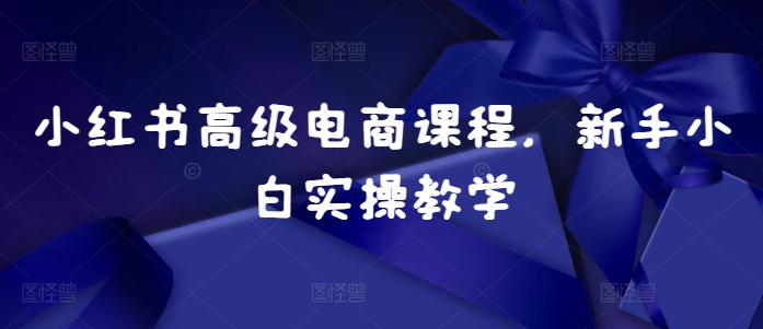 小红书高级电商课程，新手小白实操教学-轻创网