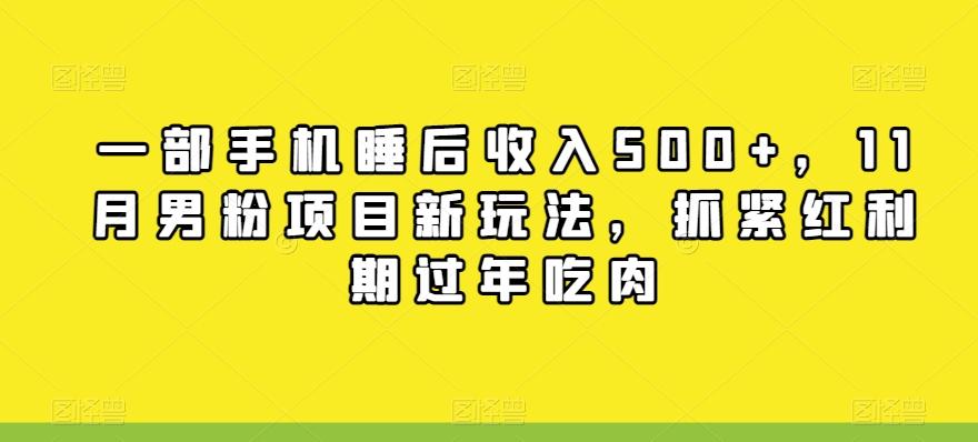 一部手机睡后收入500+，11月男粉项目新玩法，抓紧红利期过年吃肉-轻创网