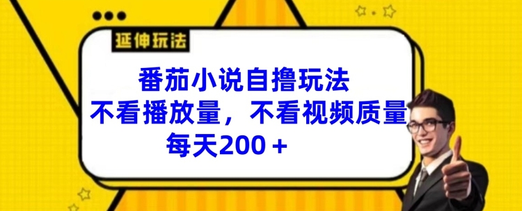 番茄小说自撸玩法，不看播放量，不看视频质量，每天200+【揭秘】-轻创网