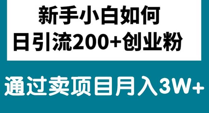 新手小白日引流200+创业粉,通过卖项目月入3W+-轻创网