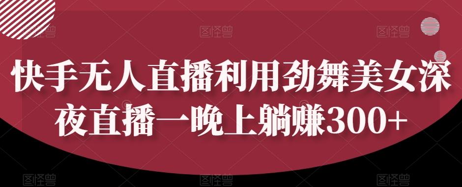 快手无人直播利用劲舞美女深夜直播一晚上躺赚300+-轻创网
