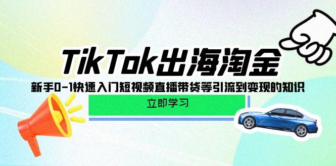 (10035期)TikTok-出海淘金，新手0-1快速入门短视频直播带货等引流到变现的知识-轻创网