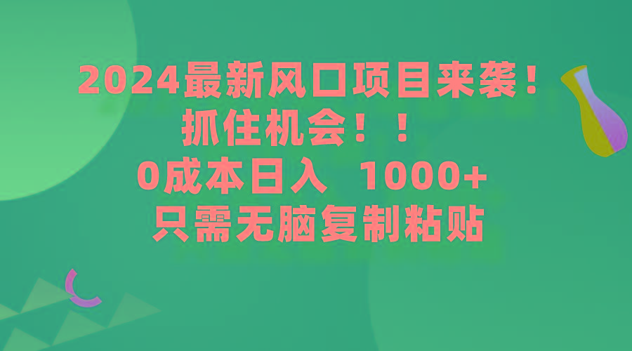 (9899期)2024最新风口项目来袭，抓住机会，0成本一部手机日入1000+，只需无脑复…-轻创网