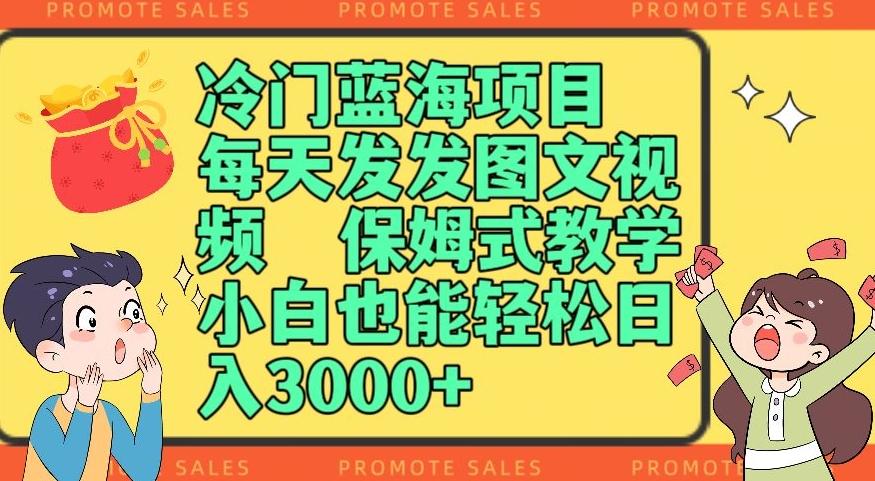 冷门蓝海项目，每天发发图文视频，保姆式教学，小白也能轻松日入3000+-轻创网