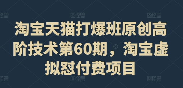 淘宝天猫打爆班原创高阶技术第60期，淘宝虚拟怼付费项目-轻创网