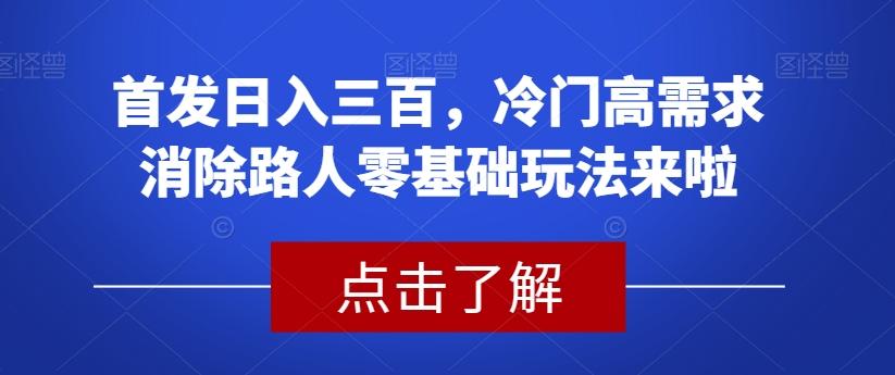 首发日入三百，冷门高需求消除路人零基础玩法来啦【揭秘】-轻创网