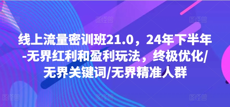 线上流量密训班21.0，24年下半年-无界红利和盈利玩法，终极优化/无界关键词/无界精准人群-轻创网