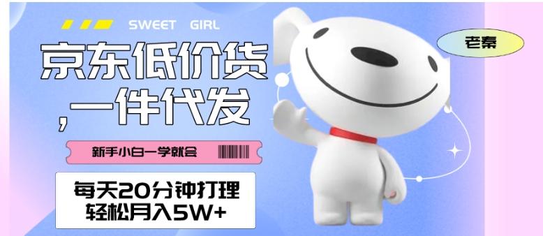 每天20分钟打理京东低价货，一件代发-轻松月入5W＋-轻创网