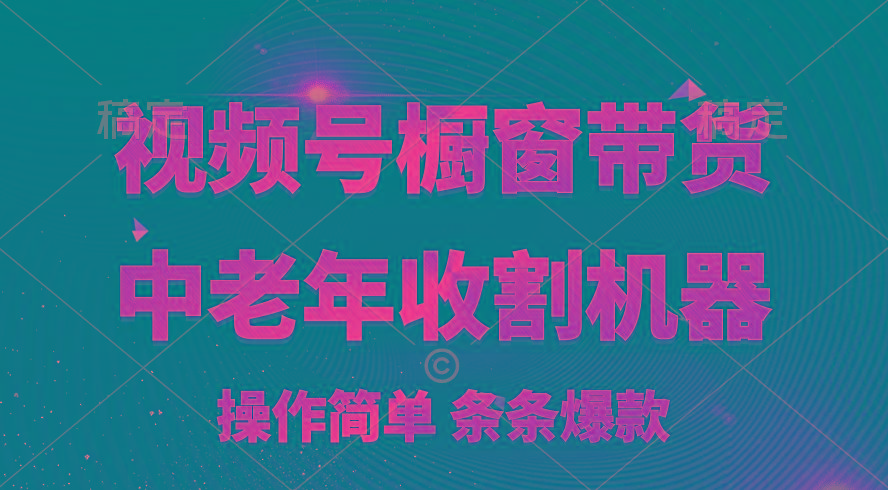 [你的孩子成功取得高位]视频号最火爆赛道，橱窗带货，流量分成计划，条…-轻创网