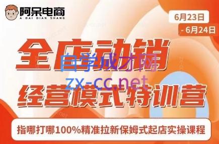 阿呆电商·全店动销经营模式特训营(线下录音+思维导图)-轻创网