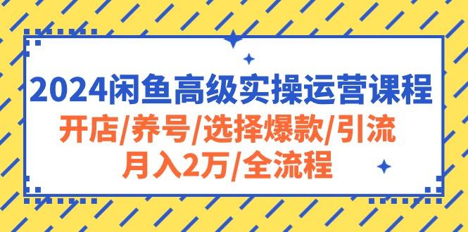 2024闲鱼高级实操运营课程：开店/养号/选择爆款/引流/月入2万/全流程-轻创网
